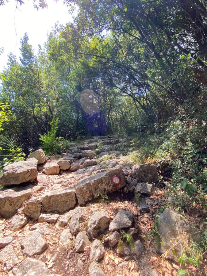 Adria Sea & Mountains Apartment Herceg Novi Ngoại thất bức ảnh